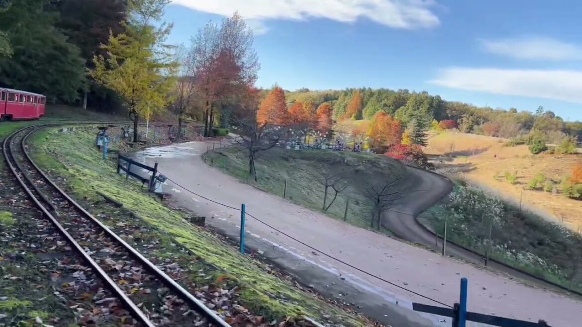 Mini-train : Shuzenji niji no Sato