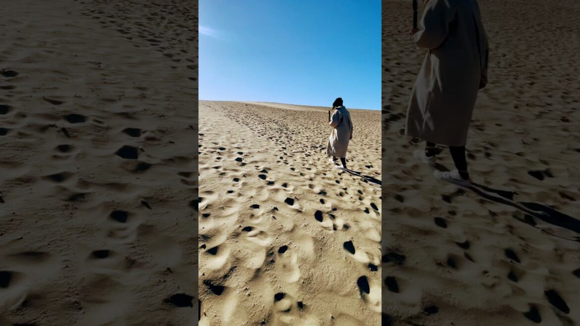 #hamamatsu  #sanddune #dune