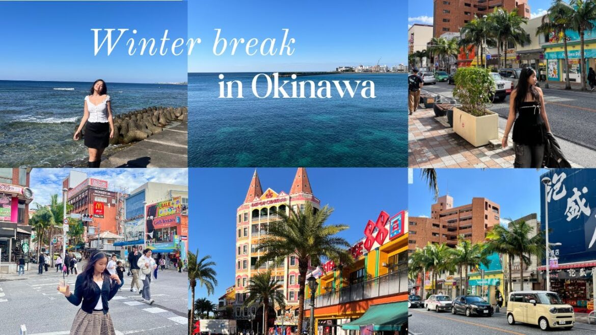 exploring okinawa in the winter | naha, onna and chatan recommendations🌊🐠🏝