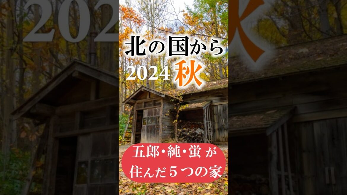 北の国から2024秋　#shorts  #北の国から  #富良野  #北海道 #麓郷