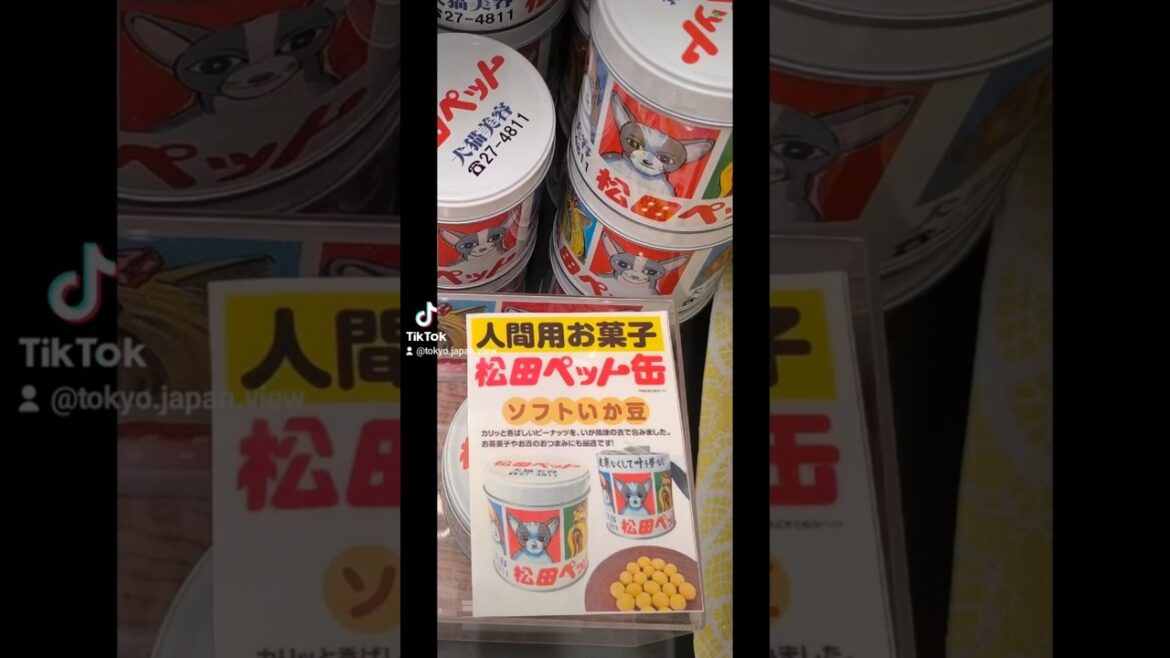 Winter in Niigata Joetsu Myoko冬の #新潟 #上越妙高 #高田城址公園 #上越 #上越市 #松田ペット #雪 #japan