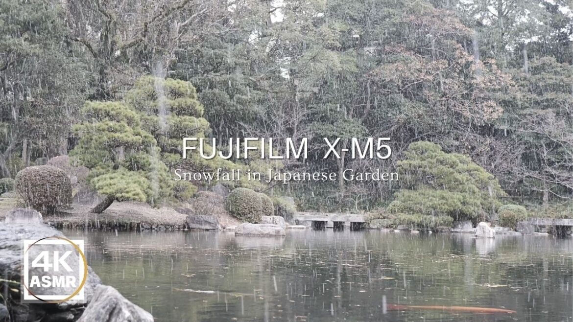 粉雪が降る福岡 友泉亭公園の音風景|Snowy Japanese Garden Soundscape 粉雪が降る福岡 友泉亭公園の音風景|Snowy Japanese Garden Soundscape