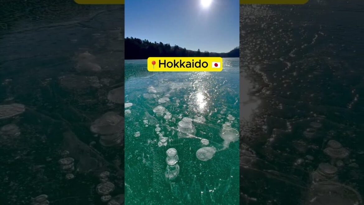 📍Hokkaido | Japan 🇯🇵 📍Hokkaido | Japan 🇯🇵
