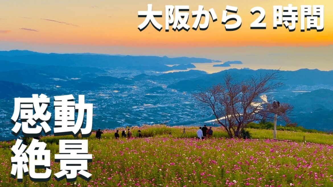 【幻想•絶景】大阪から2時間、ドライブで行きたい「秋の絶景」5選 【幻想•絶景】大阪から2時間、ドライブで行きたい「秋の絶景」5選