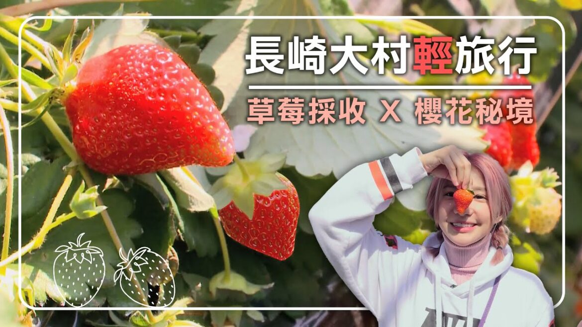 【長崎大村】冬春限定!採草莓、賞櫻、美食輕旅行,年假必去首選!|嗨! Let’s Go|#日本自由行 【長崎大村】冬春限定!採草莓、賞櫻、美食輕旅行,年假必去首選!|嗨! Let's Go|#日本自由行