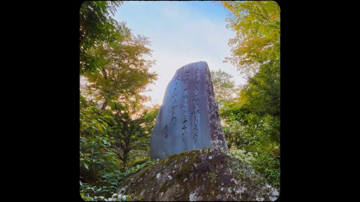 Gora Park • Hakone #japan Gora Park • Hakone #japan