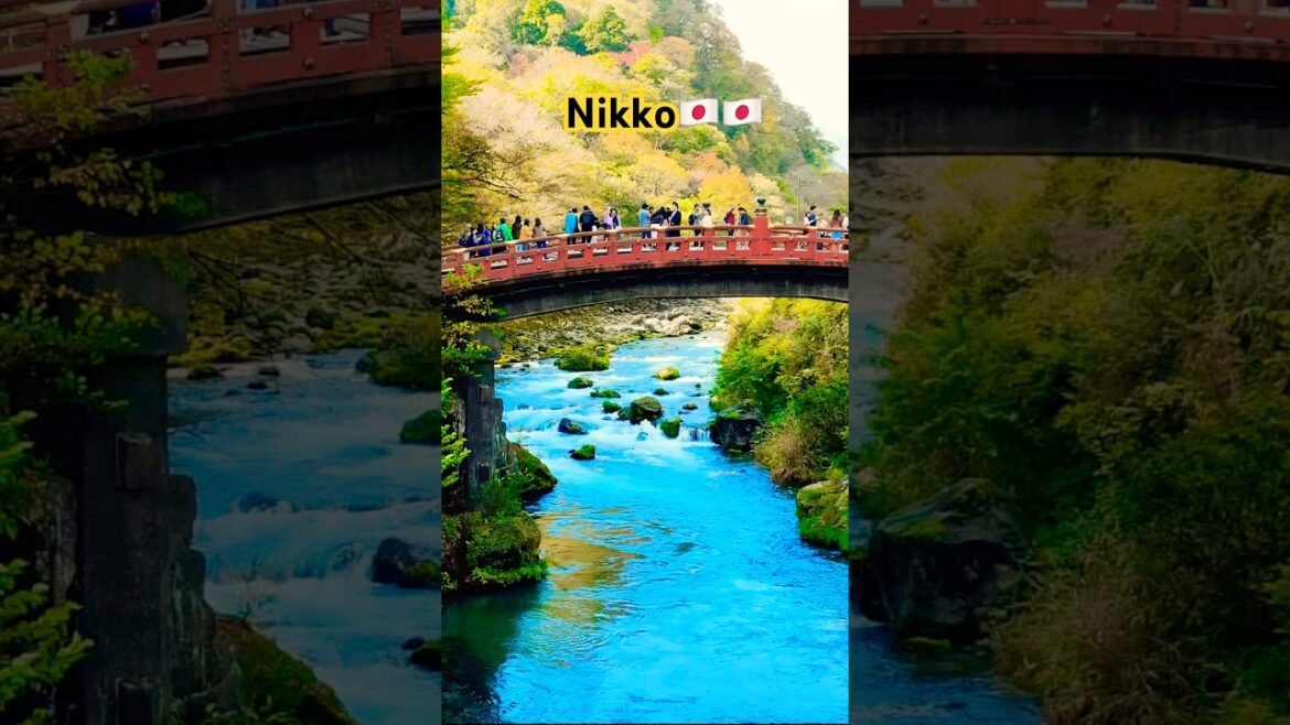 A day in Nikko #nikkojapan #japantravel #viralshorts #nature #travel #japantrip