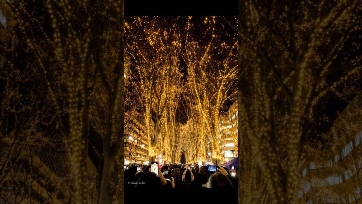 2024年12月GRIIIで撮った仙台の景色 #shorts  #ricohGRIII #griii #photography #sendai #lightroom #仙台光のページェント #鳴子温泉