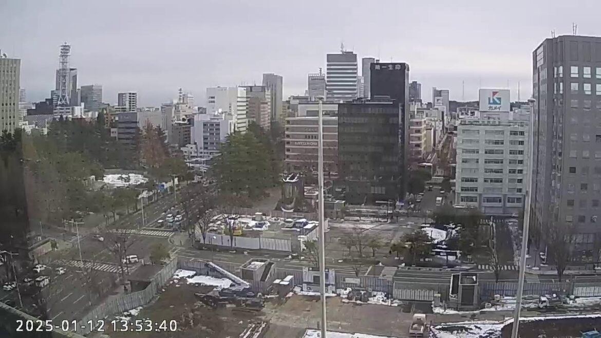 Discover SENDAI Live Camera