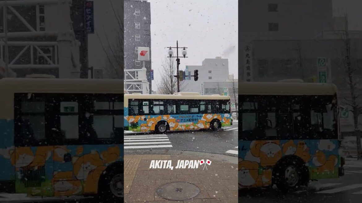 Heavy Snowfall in Akita, Japan❄️☃️❄️