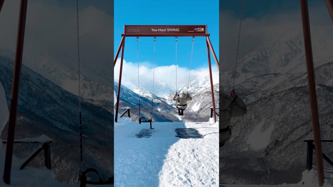 ❄️ Yoo-Hoo Swing! 😆 #japan #japantravel #japanwinter #hakuba