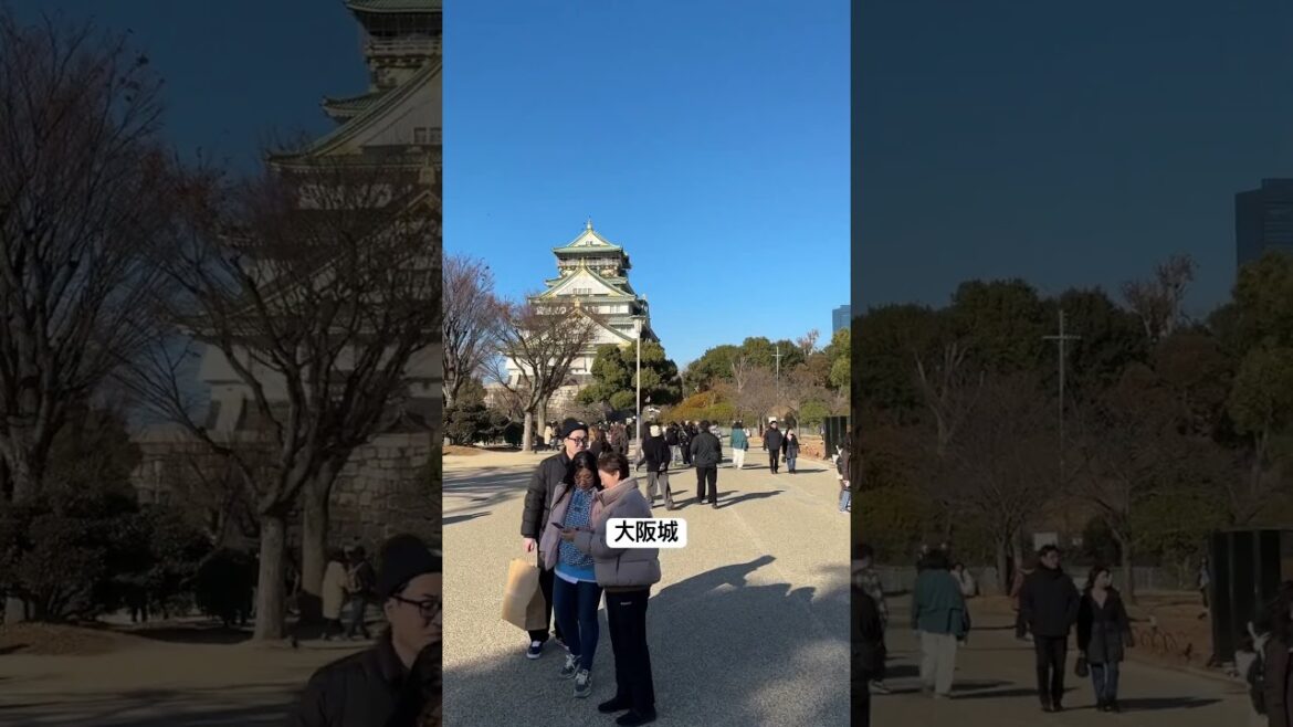 大阪城3 #京都 #日本 #大阪 #旅行 #関西 #大阪城 #japan #shortvideo #short #shorts #fall #kyoto #winter #2025 #일본 #일본여행