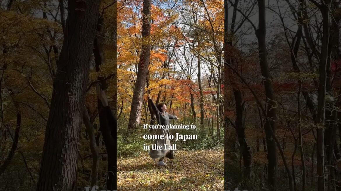 INSANELY underrated Japan Fall spot you haven’theard of 🍁