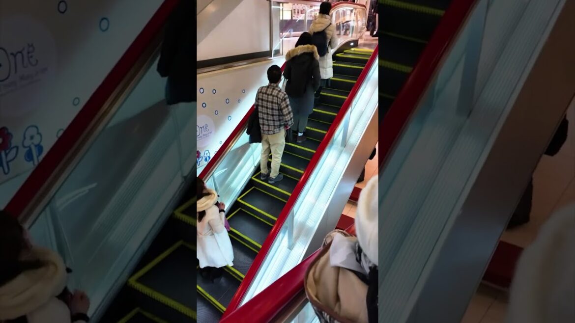 #japan #japantravel #hokkaido #sapporo