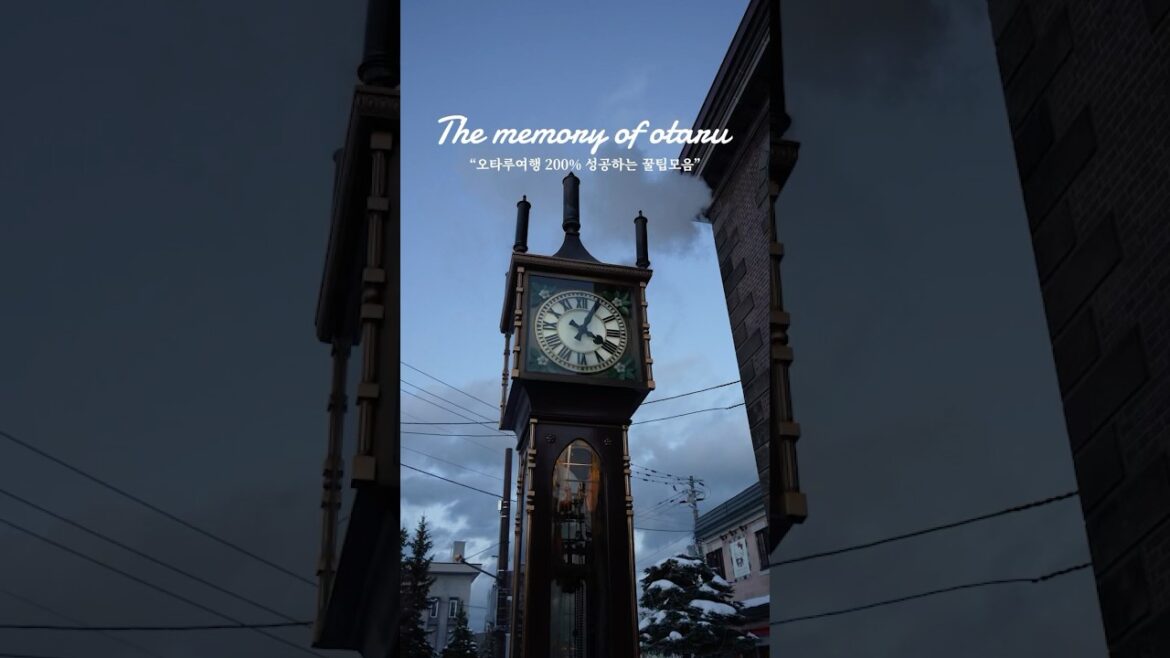 겨울에 가장 먼저 생각나는 #홋카이도 #오타루 에서 여기 안가면 후회해요 팁