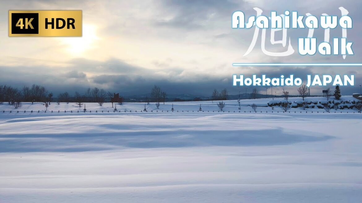 Snow Walk around Station and Mirror Pond in Asahikawa | Hokkaido | Japan | 4K HDR