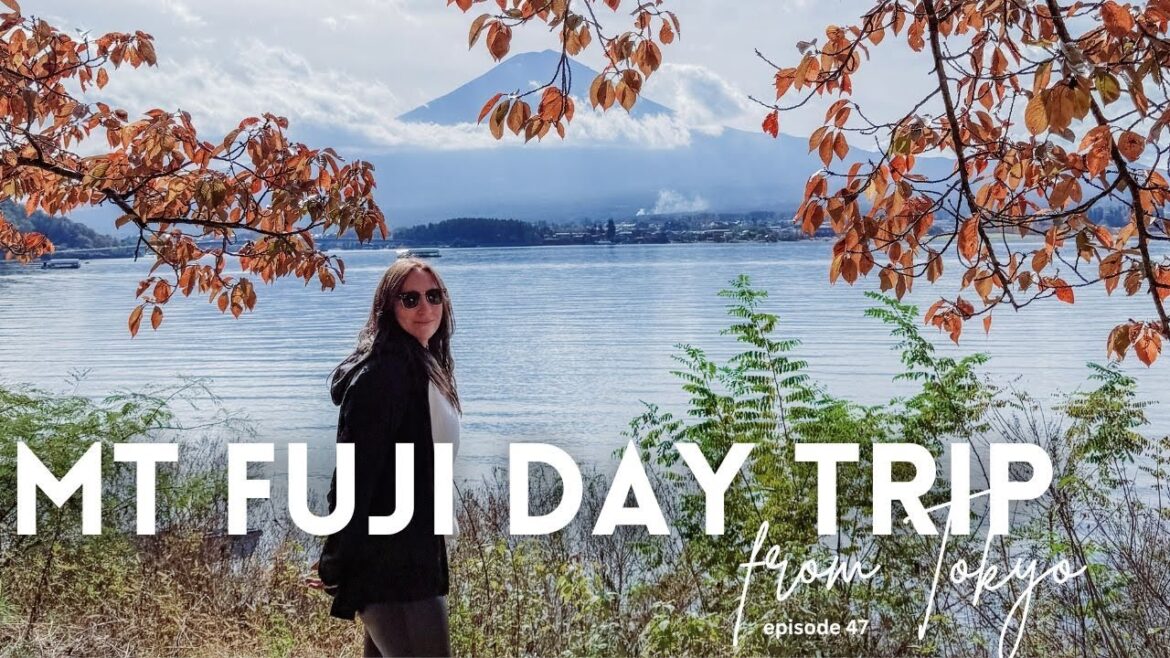 Mt Fuji day trip from Tokyo