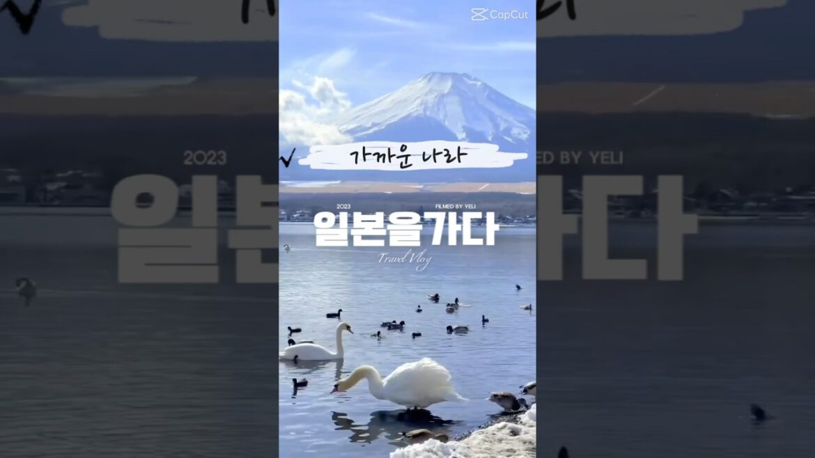 겨울에 떠나기 좋은 일본 여행지 가까운 해외 겨울 여행지로 추천드립니다.”#일본겨울여행 #겨울추천여행지 #해외여행추천  #일본여행추천