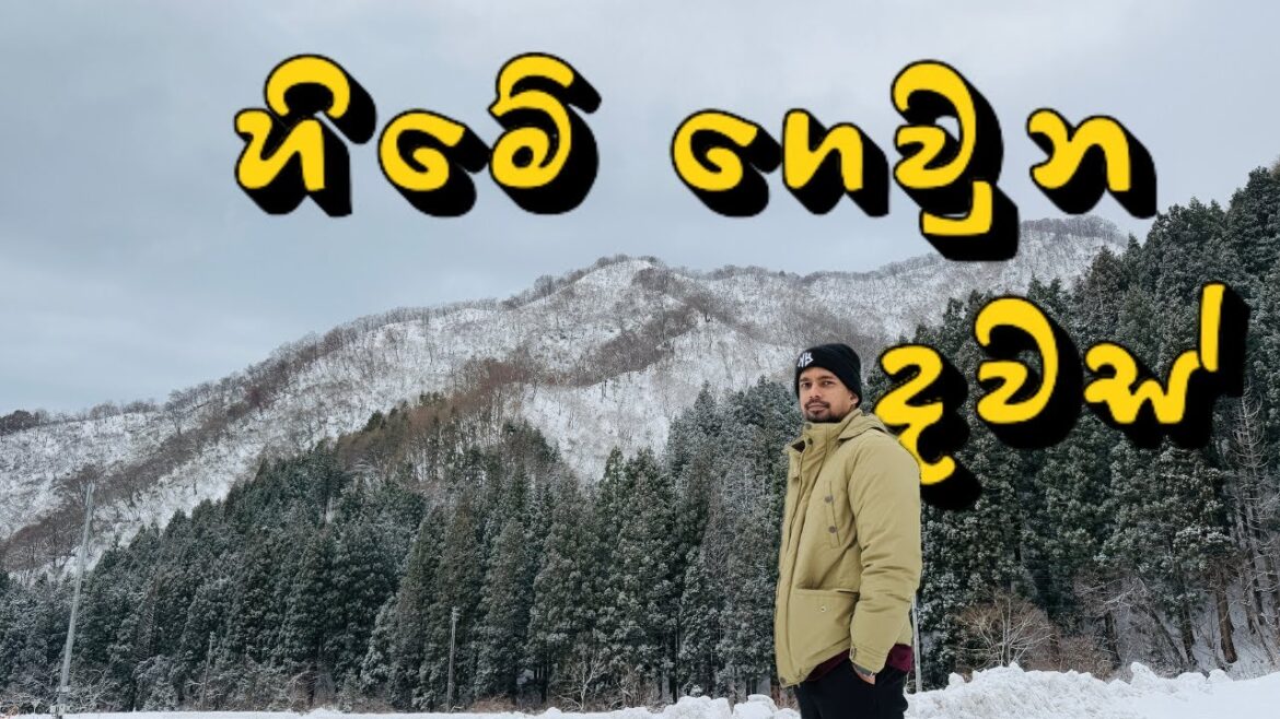 හිමේ ගෙවුන දවස් ❄️❄️ | Vlog 21 | Day 1 හිමේ ගෙවුන දවස් ❄️❄️ | Vlog 21 | Day 1