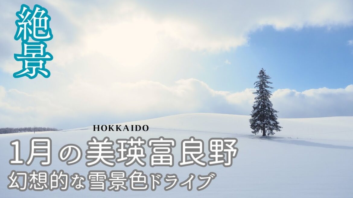 【美瑛富良野】1月の絶景雪景色ドライブ#129/パノラマロード江花・クリスマスツリーの木・ジェットコースターの路・深山峠と熱々グルメ 【美瑛富良野】1月の絶景雪景色ドライブ#129/パノラマロード江花・クリスマスツリーの木・ジェットコースターの路・深山峠と熱々グルメ