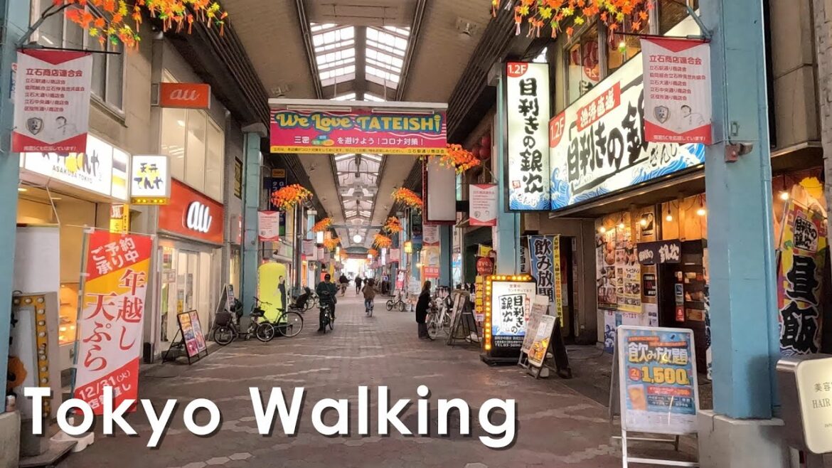 4K Japan Walking tour in Tateishi, Tokyo 4K Japan Walking tour in Tateishi, Tokyo