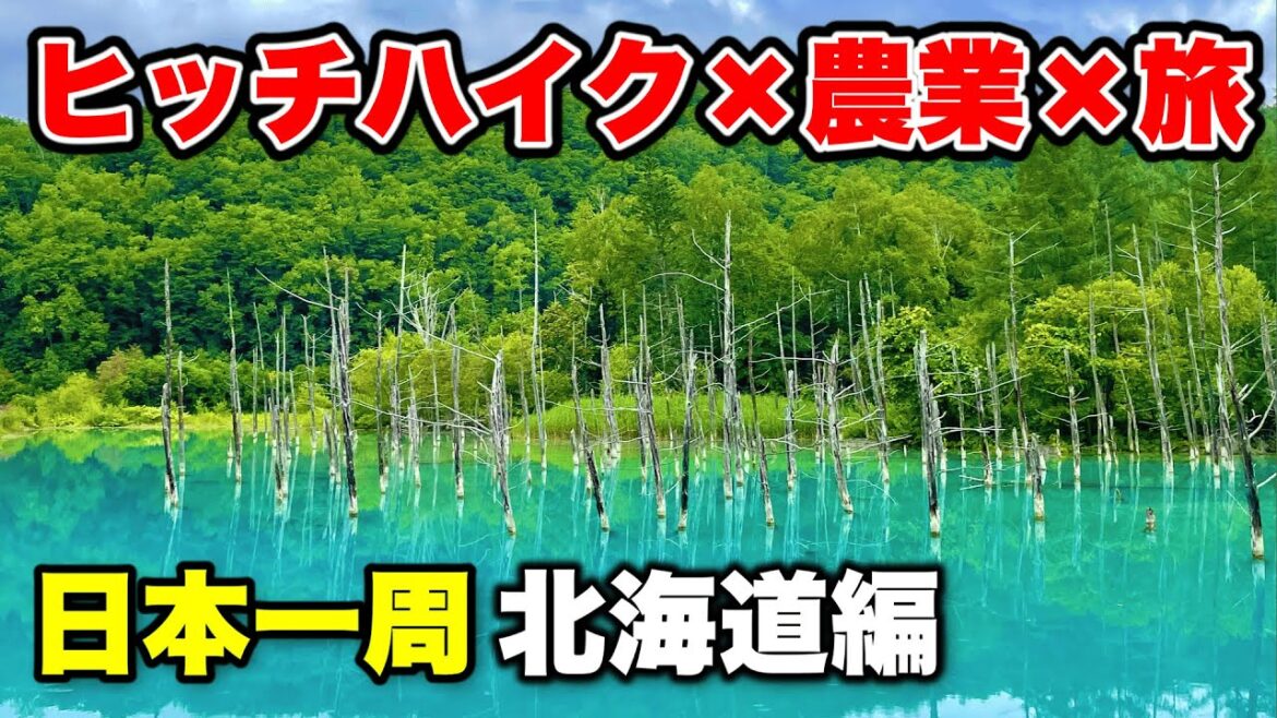 日本一周するカップルが自転車で1時間半かけて北海道屈指の映えスポット「青い池」に行ってみた【日本旅 北海道編①】