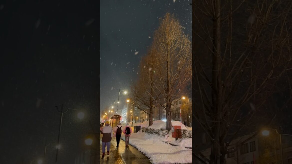 Otaru Canal | 🇯🇵 Otaru, Hokkaido, Japan today | January 11, 2025