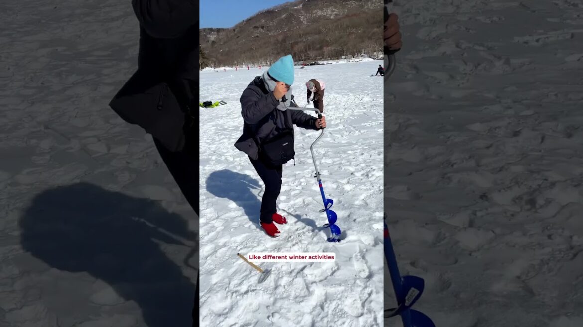 ❄️ February in Japan is a vibe!