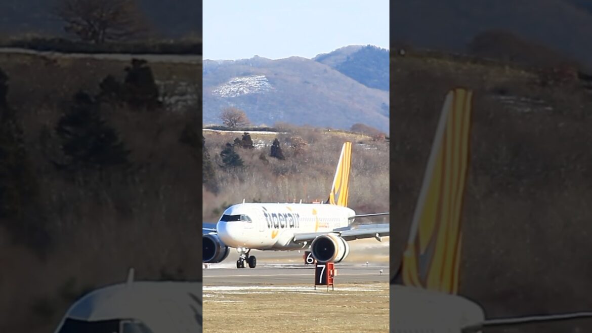 函館空港　タイガーエア台湾Airbus A320-271N