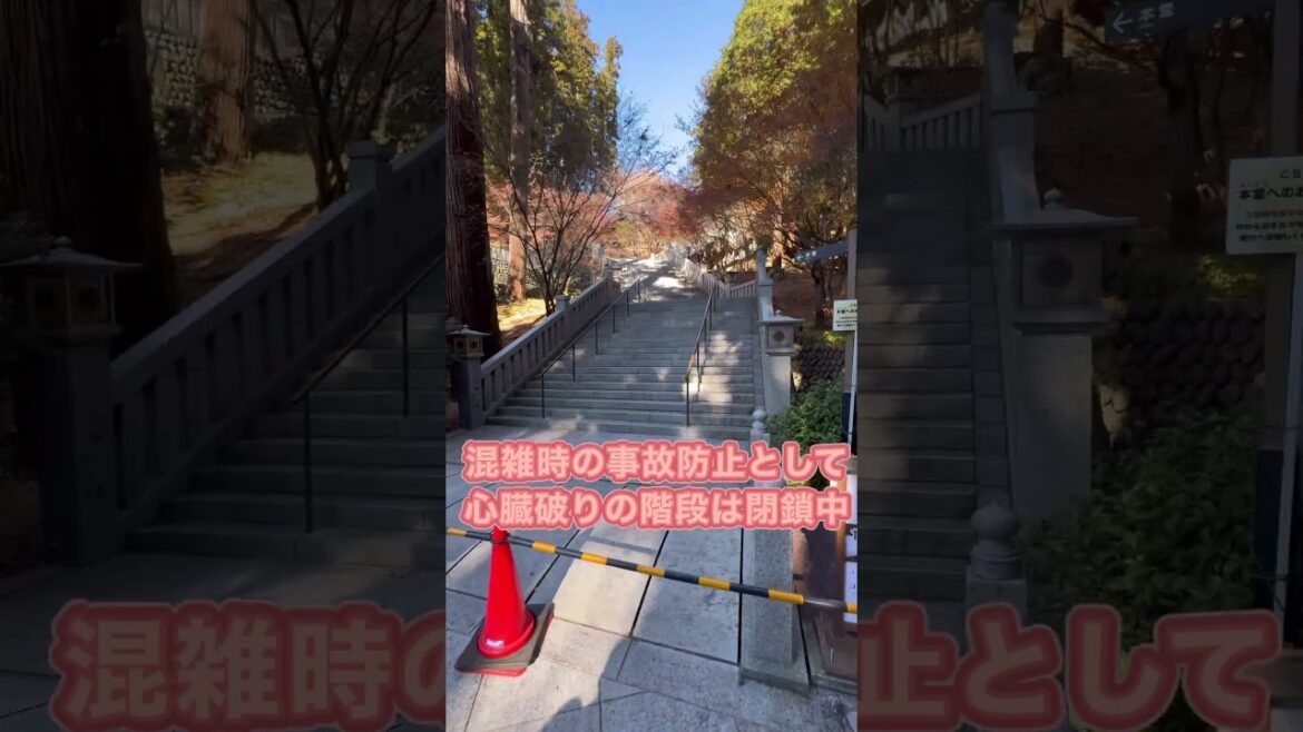 【元旦初詣 袋井市法多山尊永寺】#shorts #静岡県 #静岡県のニュース #初詣 #法多山尊永寺 #袋井市