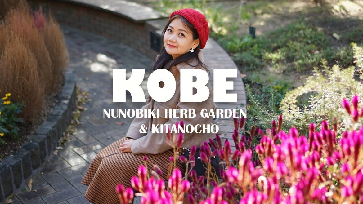Christmas in KOBE, Nunobiki Herbs Garden & Kitanocho Ijinkan, Day Trip from Osaka