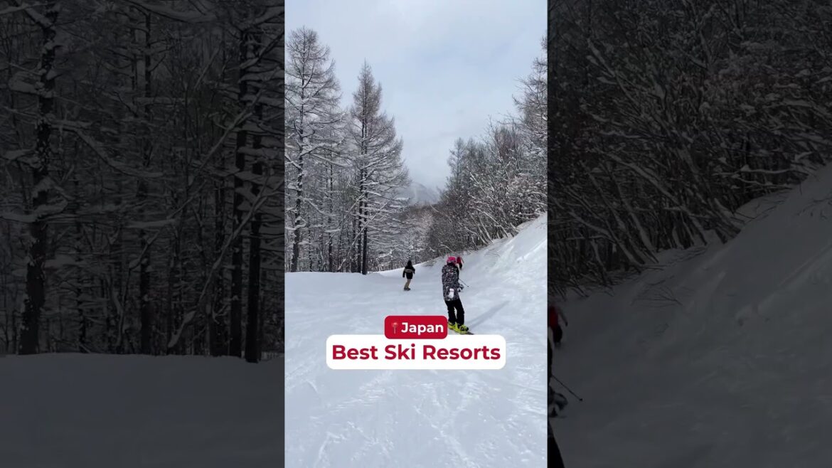 🚨 Planning your Japan ski trip? Here’s your ultimate guide to the best ski resorts! 🚨 🚨 Planning your Japan ski trip? Here’s your ultimate guide to the best ski resorts! 🚨
