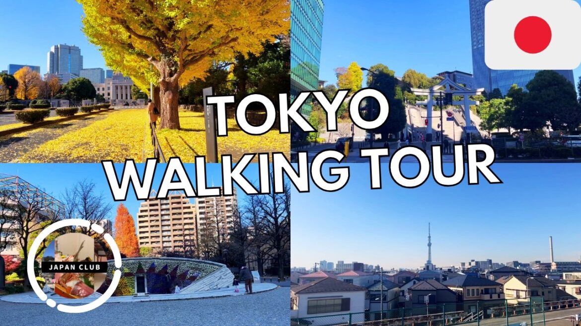 TOKYO, Japan Walking Tour 2025 | Tokyo JAPAN ๐ฏ๐ต TOKYO, Japan Walking Tour 2025 | Tokyo JAPAN ๐ฏ๐ต
