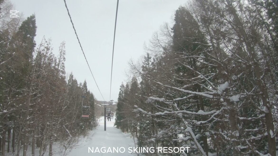 NAGANO SKIING AREA NAGANO SKIING AREA