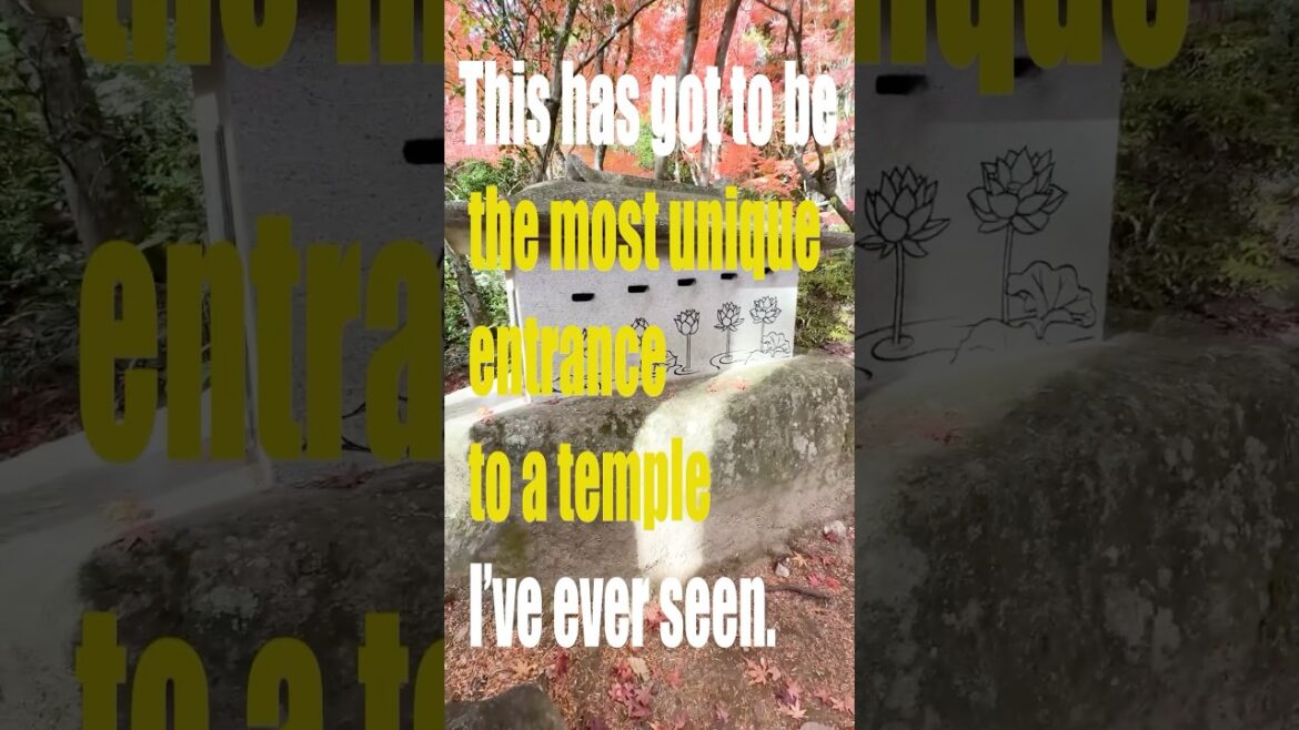 Discover Japan’s Most SURPRISING Temple Entrance at Mitaki Dera Discover Japan's Most SURPRISING Temple Entrance at Mitaki Dera