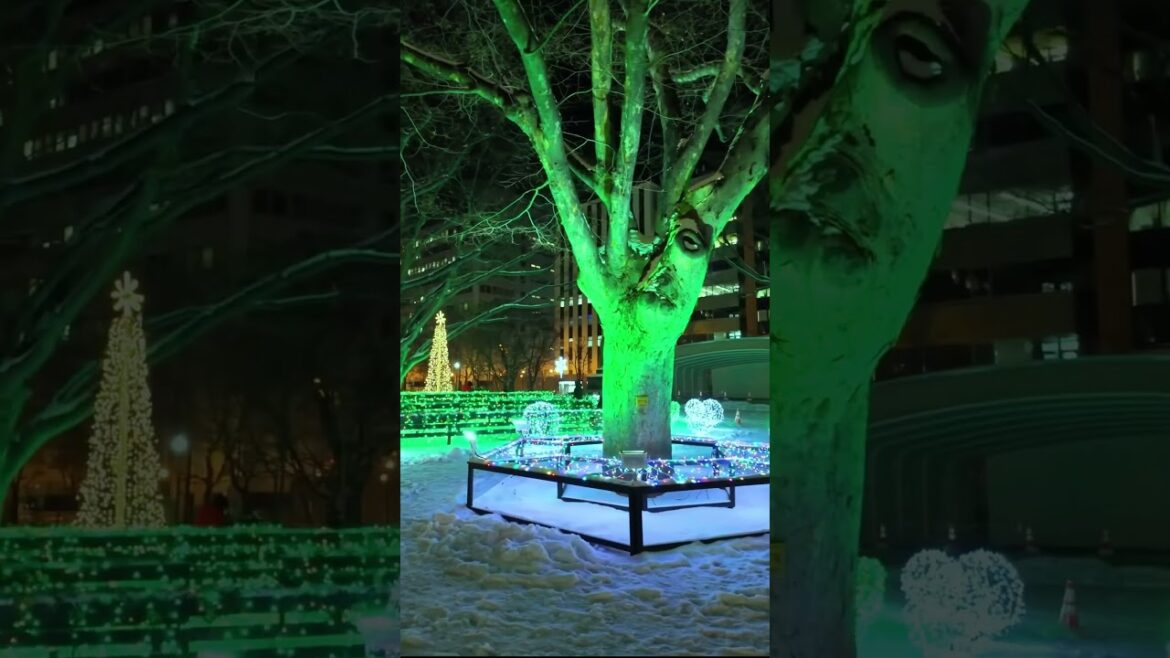 #japan #hokkaido #travel #trip #japantravel #sapporo