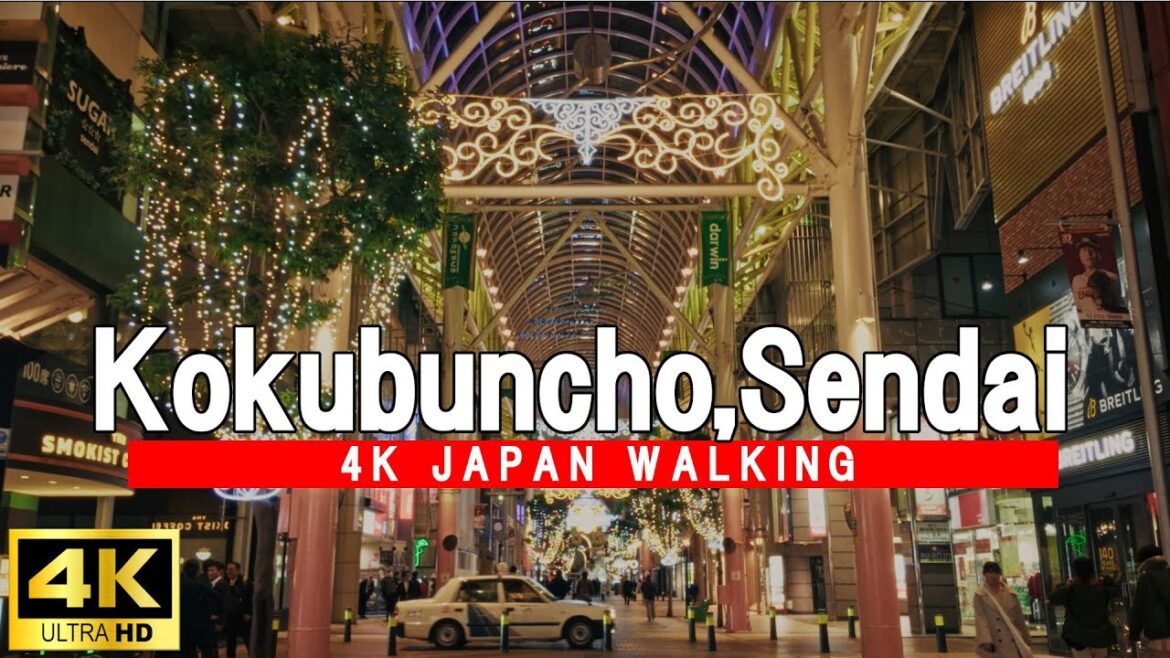 A night in Sendai's Kokubuncho as Christmas approaches  4K24fps