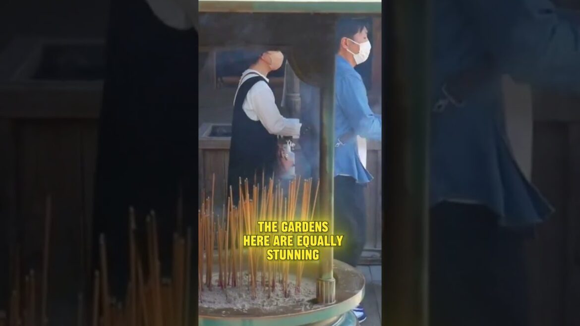 Discover the Magic of Kinkaku-ji in Kyoto! #japan #travel #ytshorts #facts Discover the Magic of Kinkaku-ji in Kyoto! #japan #travel #ytshorts #facts