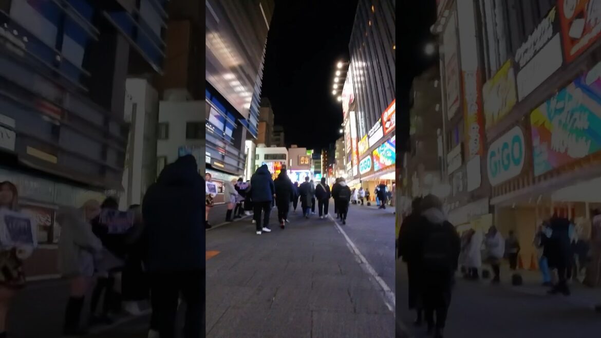 Kabukicho Ichibangai in the cold