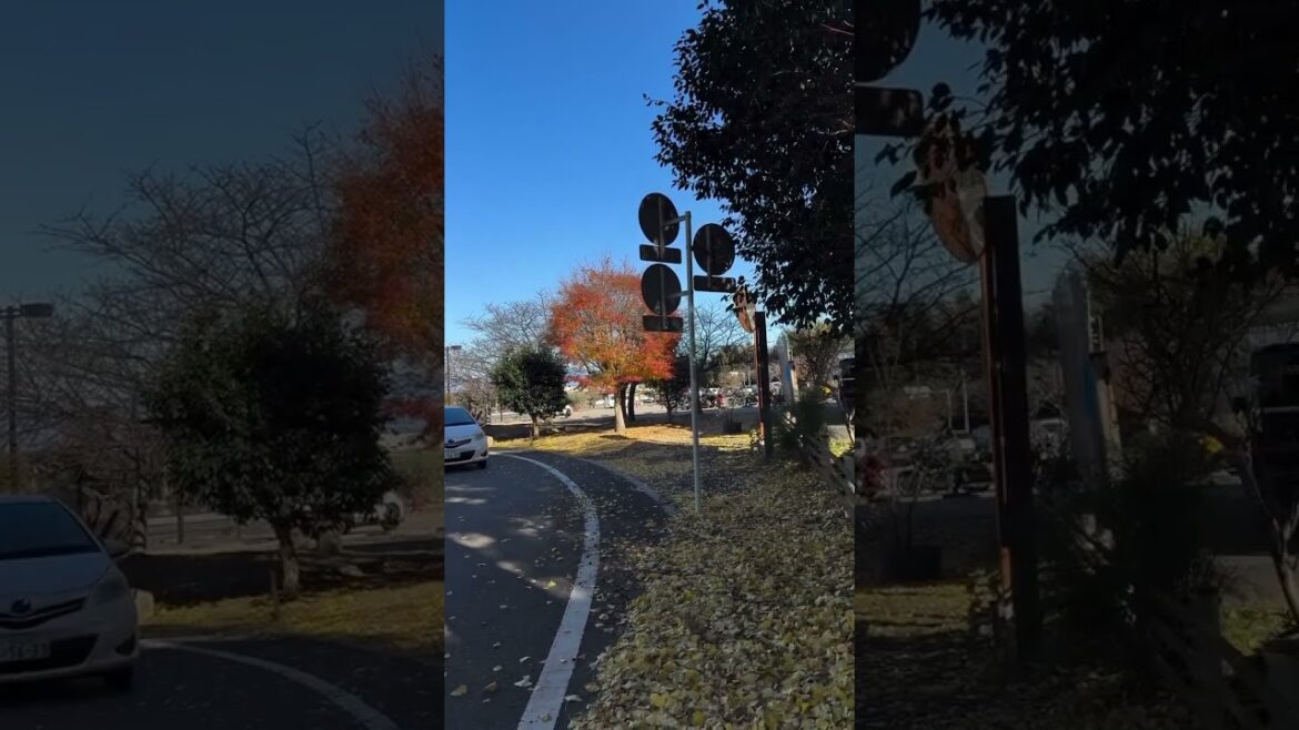 Nihondaira, Shizuoka #japan #japanlife #travel