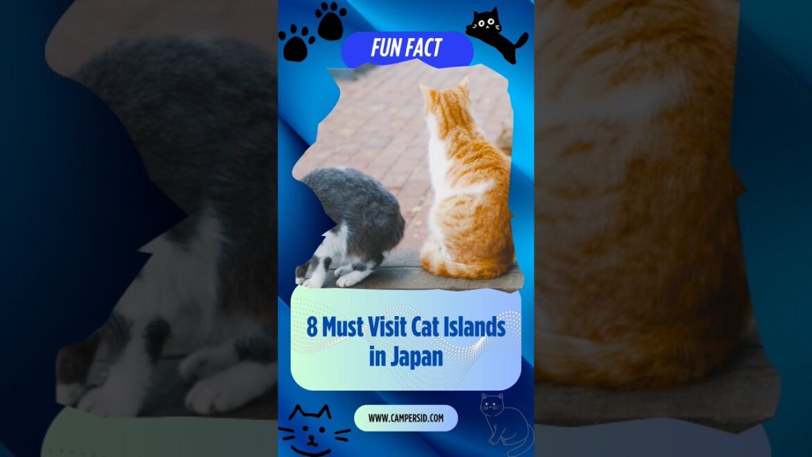 YOU WON’T BELIEVE! #catisland #japan #travel #animals #adventure #catlover #campersid #animals #cat YOU WON'T BELIEVE! #catisland #japan #travel #animals #adventure #catlover #campersid #animals #cat