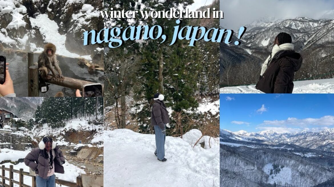 winter wonderland in nagano, japan! snow monkeys, ski resort & new years countdown! || helsa sokpoh winter wonderland in nagano, japan! snow monkeys, ski resort & new years countdown! || helsa sokpoh