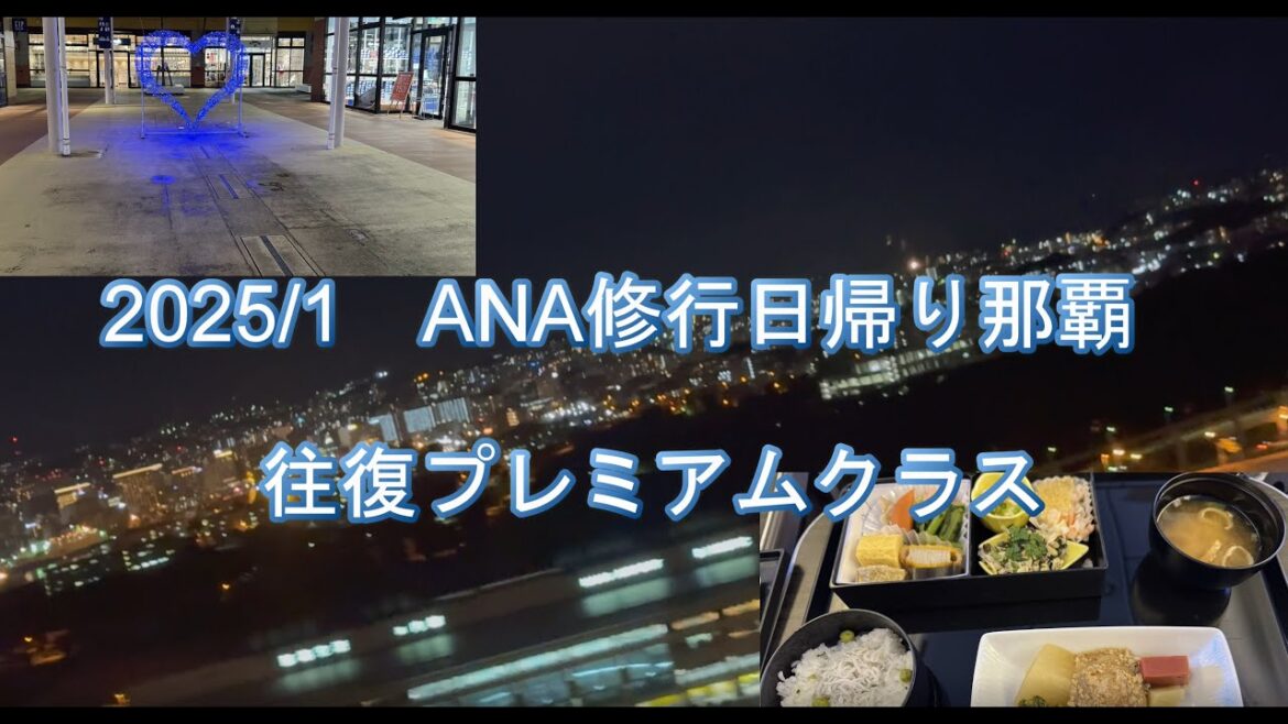 20250111 ANA修行日帰り那覇 20250111 ANA修行日帰り那覇
