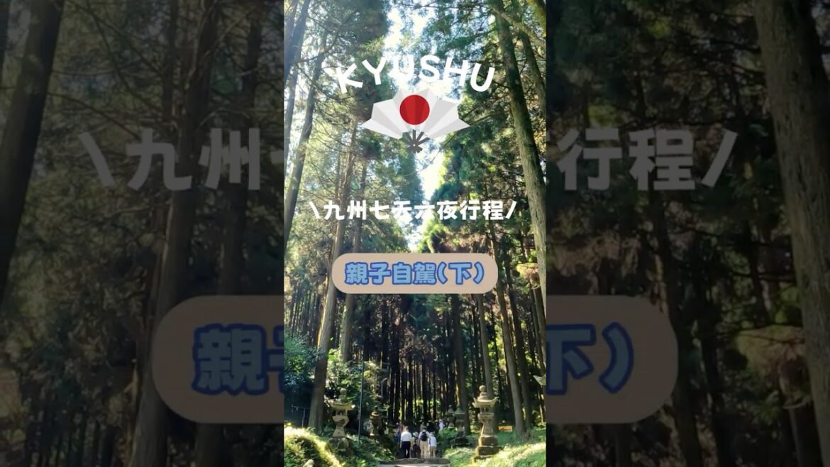 [九州旅遊] 親子自駕七天六夜玩北九州 (下)‼️ 秘境神社 | 草千里 | 熊本 #九州 #九州旅行 #自駕旅行  #阿蘇 #上色見熊野座神社 #草千里 #熊本