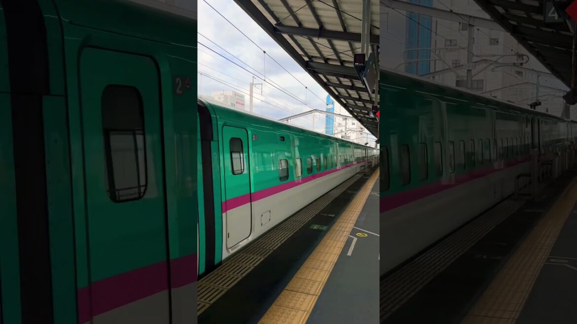 🇯🇵🚄 Tohoku Shinkansen Stopping @ Utsunomiya Station ✨ #japan #shinkansen #utsunomiya #tokyo