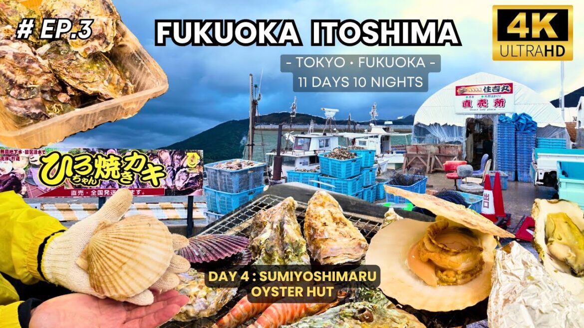 [EP.3] 🇯🇵 Tokyo • Fukuoka 11 Days 10 Nights | Day 4 Fukuoka Itoshima Oyster Hut SUMIYOSHIMARU [Vlog]