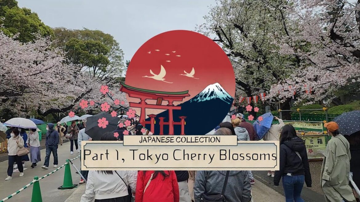 Japan Tour Tokyo Part 1