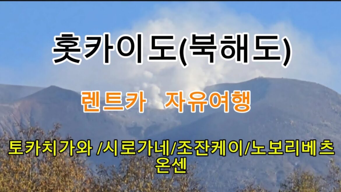 홋카이도(북해도) 렌트카  온천  자유여행(토카치가와/ 시로가네/ 조잔케이/ 노보리베츠)