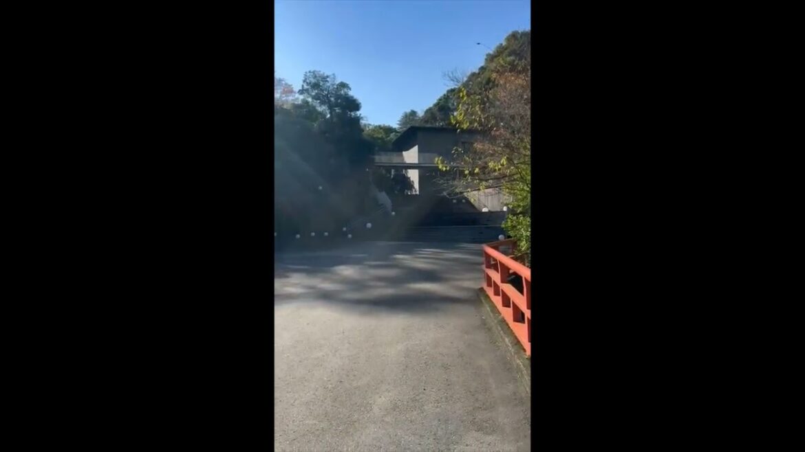 （56） Odawara  3 Dec  2024 Part 6 Videos