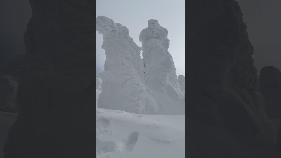 八甲田山の樹氷かっこいい！#shorts